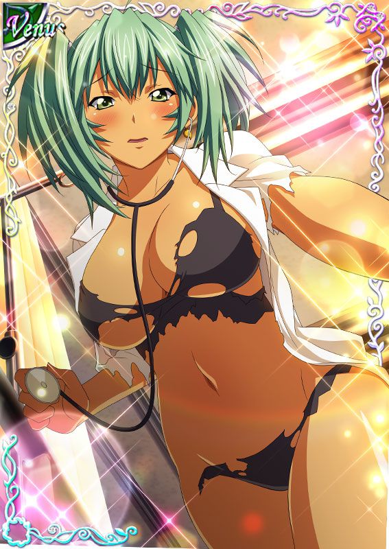 Ikkitousen Cards Coleccyion  Ryofu Housen set 536