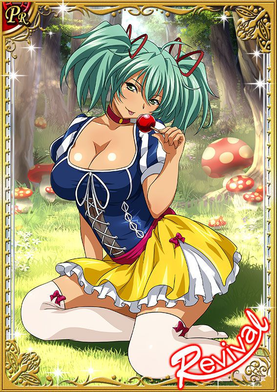 Ikkitousen Cards Coleccyion  Ryofu Housen set 537