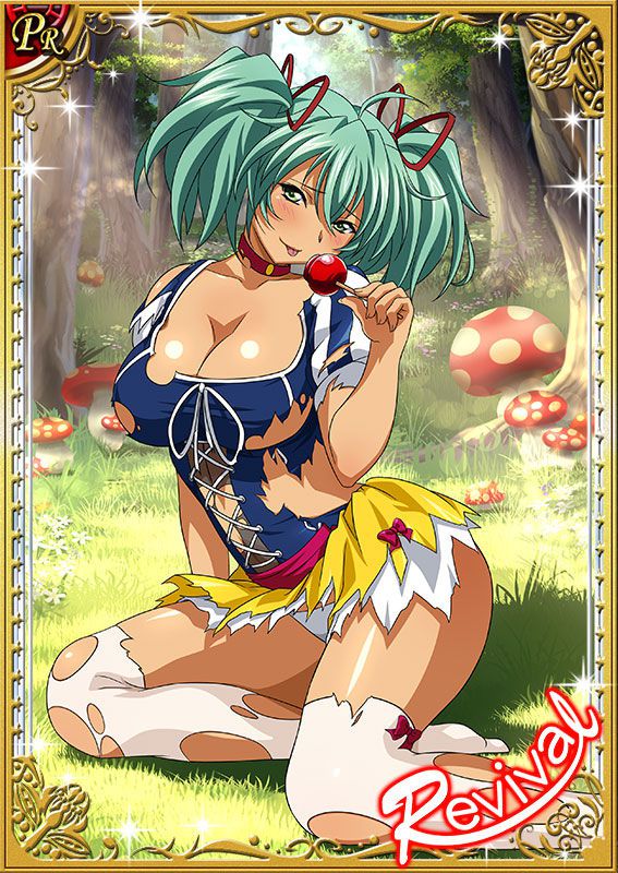 Ikkitousen Cards Coleccyion  Ryofu Housen set 538