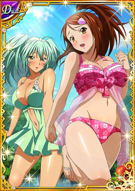 Ikkitousen Cards Coleccyion  Ryofu Housen set 539