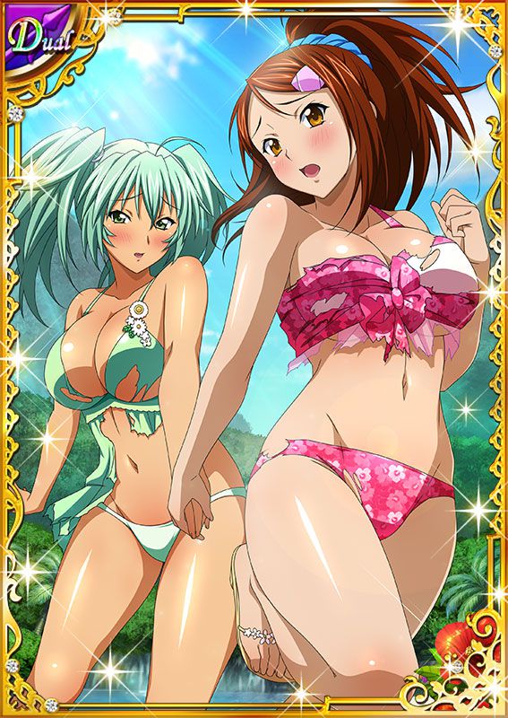 Ikkitousen Cards Coleccyion  Ryofu Housen set 540