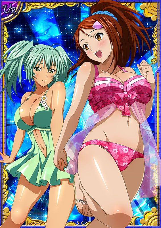 Ikkitousen Cards Coleccyion  Ryofu Housen set 541