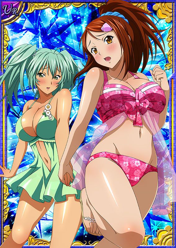 Ikkitousen Cards Coleccyion  Ryofu Housen set 542