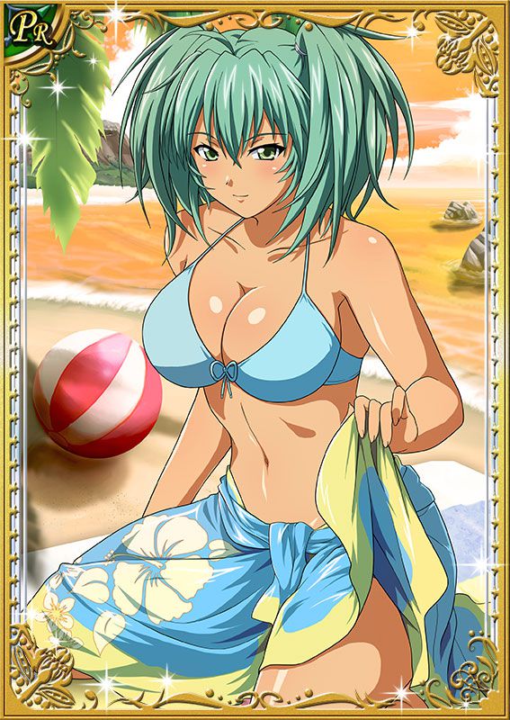 Ikkitousen Cards Coleccyion  Ryofu Housen set 543