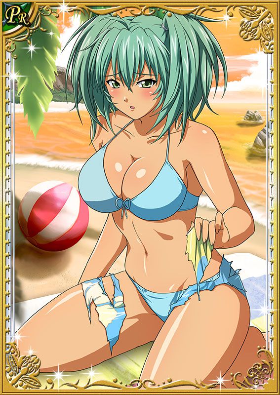 Ikkitousen Cards Coleccyion  Ryofu Housen set 544