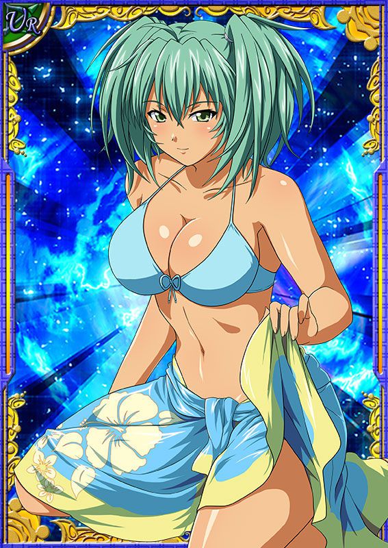 Ikkitousen Cards Coleccyion  Ryofu Housen set 545