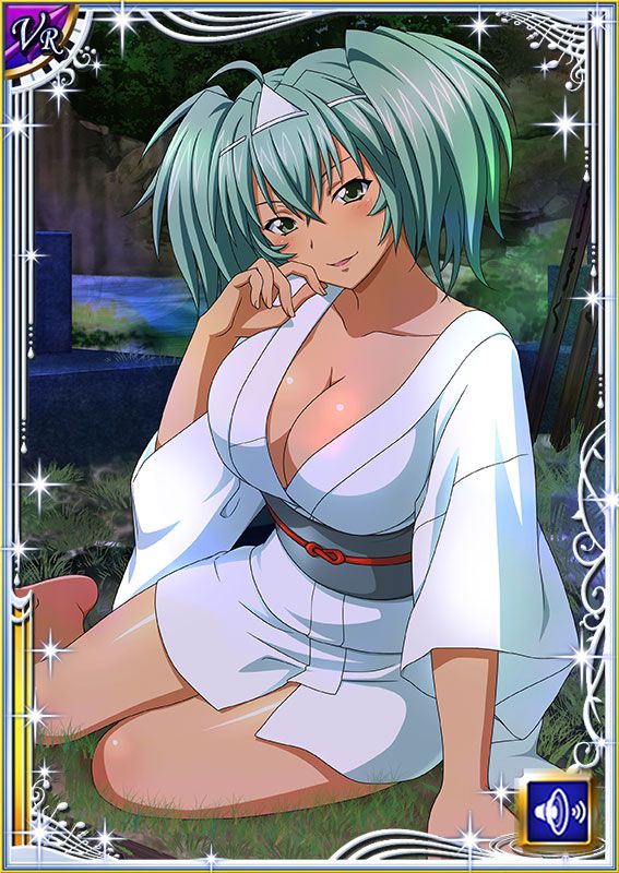 Ikkitousen Cards Coleccyion  Ryofu Housen set 546