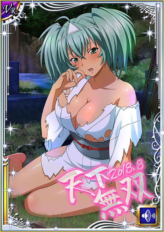 Ikkitousen Cards Coleccyion  Ryofu Housen set 547