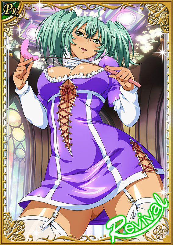 Ikkitousen Cards Coleccyion  Ryofu Housen set 548