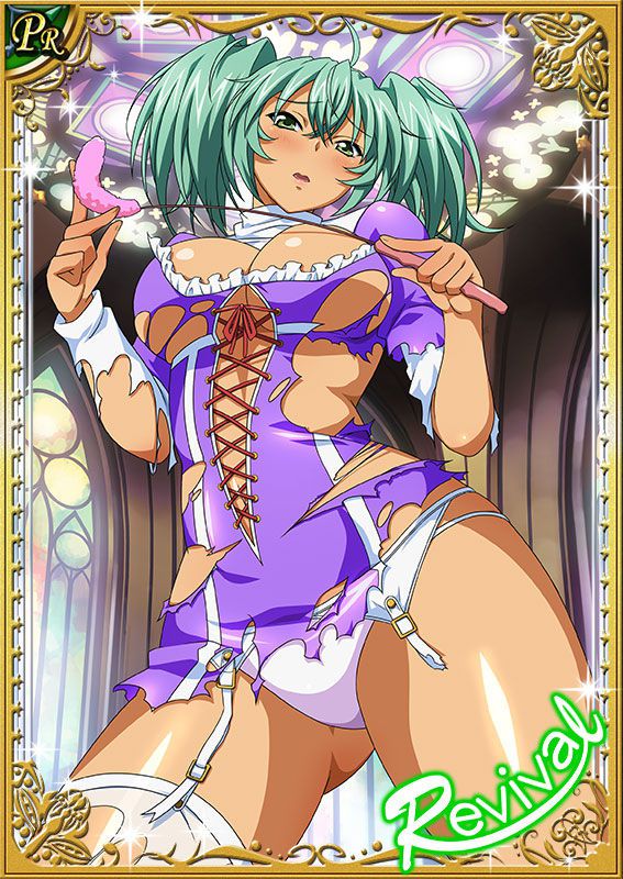 Ikkitousen Cards Coleccyion  Ryofu Housen set 549