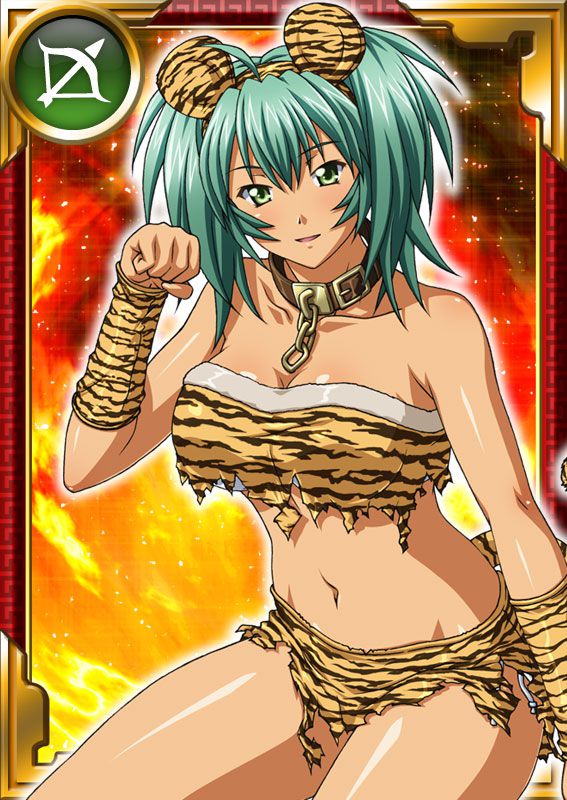 Ikkitousen Cards Coleccyion  Ryofu Housen set 553