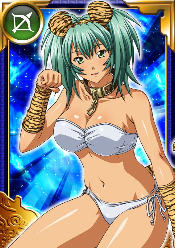 Ikkitousen Cards Coleccyion  Ryofu Housen set 554