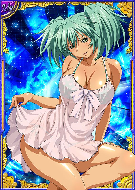 Ikkitousen Cards Coleccyion  Ryofu Housen set 559