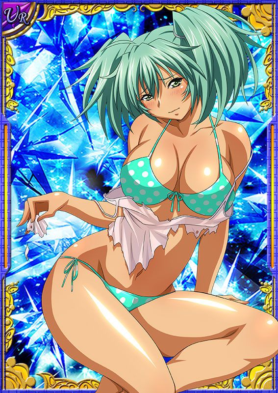 Ikkitousen Cards Coleccyion  Ryofu Housen set 560