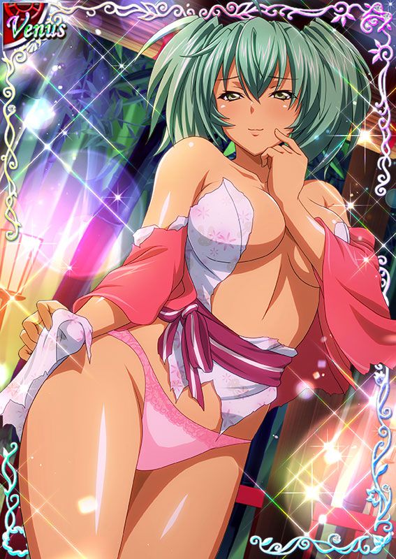 Ikkitousen Cards Coleccyion  Ryofu Housen set 564