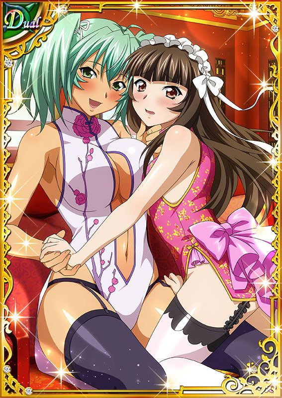 Ikkitousen Cards Coleccyion  Ryofu Housen set 565