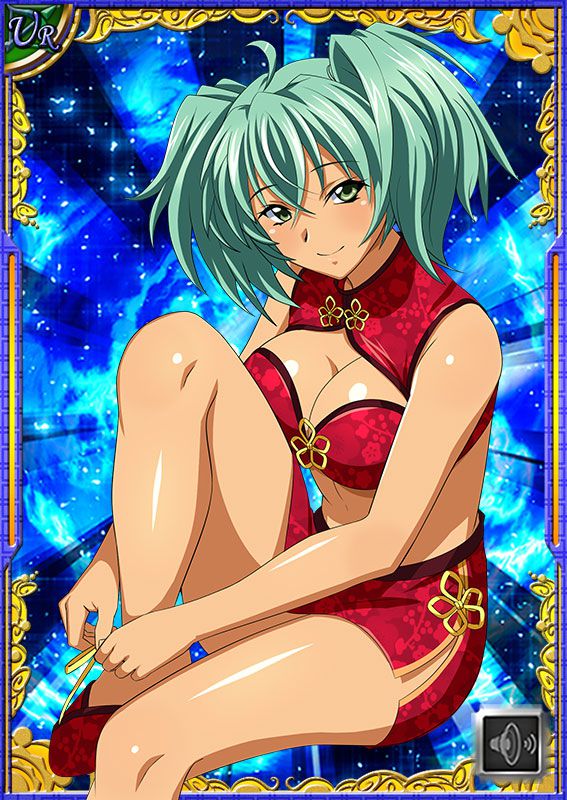 Ikkitousen Cards Coleccyion  Ryofu Housen set 569