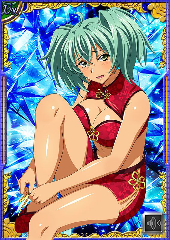 Ikkitousen Cards Coleccyion  Ryofu Housen set 570