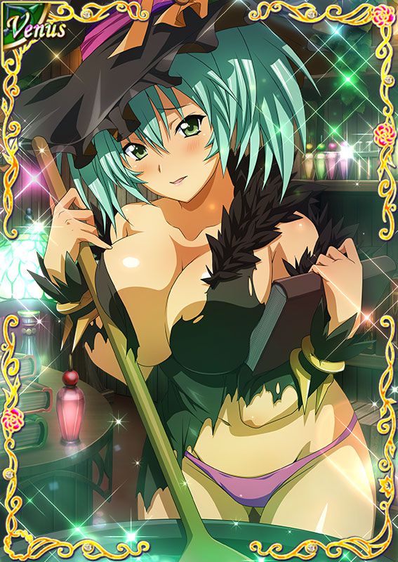 Ikkitousen Cards Coleccyion  Ryofu Housen set 580