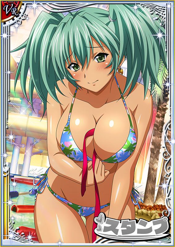 Ikkitousen Cards Coleccyion  Ryofu Housen set 583