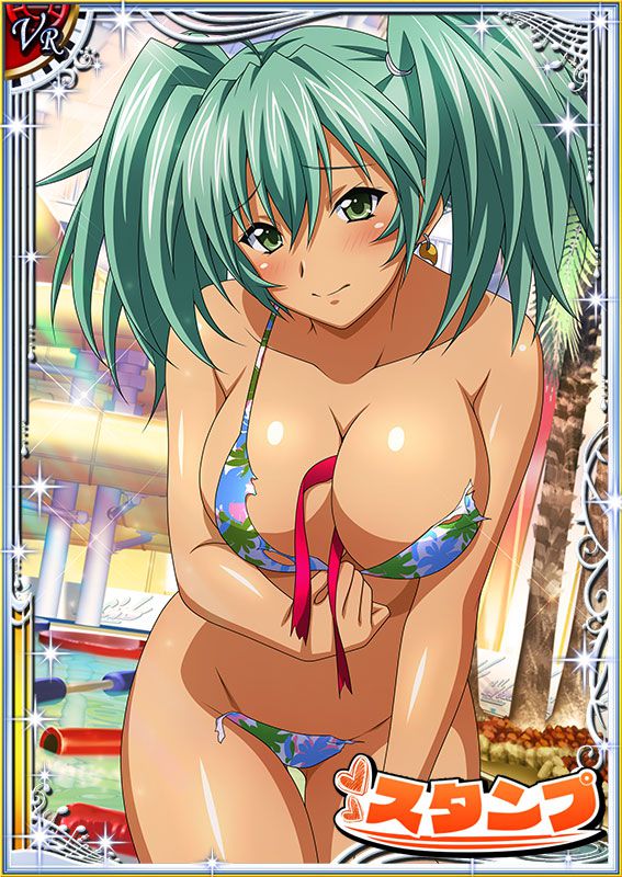 Ikkitousen Cards Coleccyion  Ryofu Housen set 584