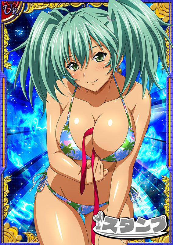 Ikkitousen Cards Coleccyion  Ryofu Housen set 585