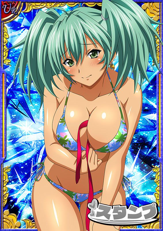 Ikkitousen Cards Coleccyion  Ryofu Housen set 586