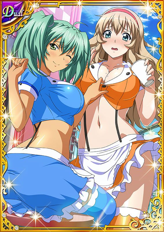 Ikkitousen Cards Coleccyion  Ryofu Housen set 587