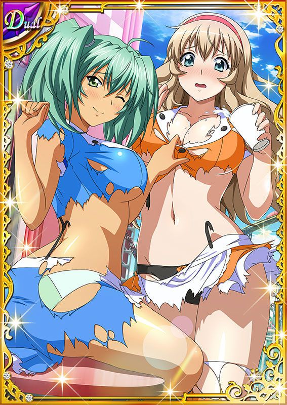 Ikkitousen Cards Coleccyion  Ryofu Housen set 588