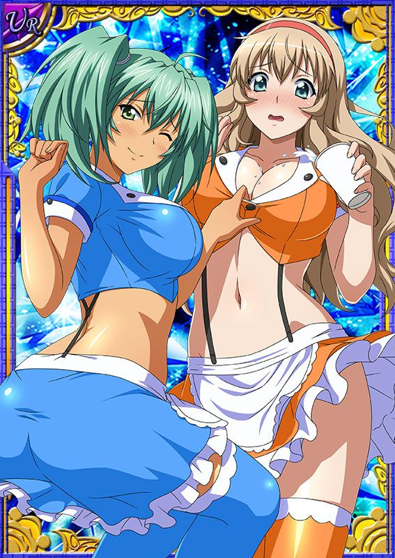 Ikkitousen Cards Coleccyion  Ryofu Housen set 590