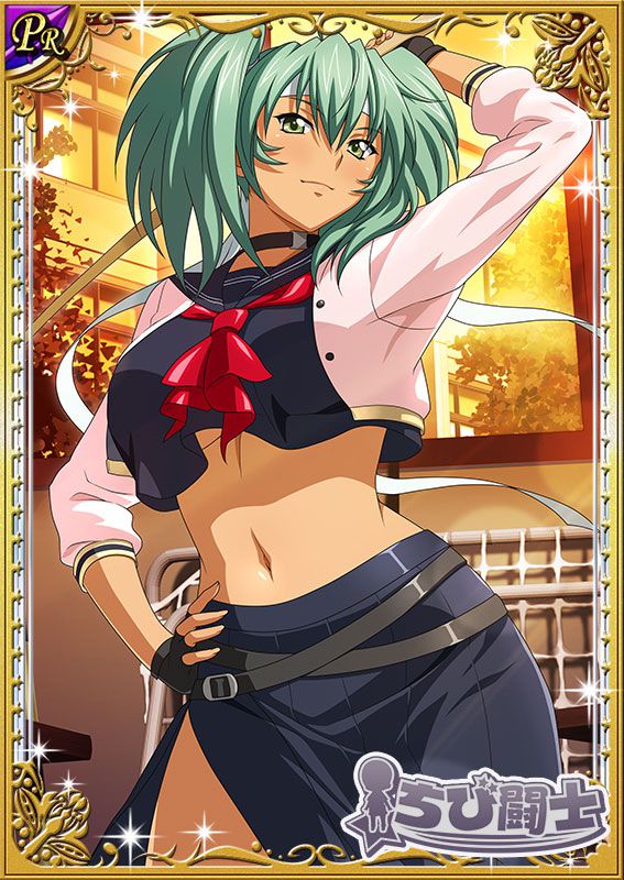 Ikkitousen Cards Coleccyion  Ryofu Housen set 591