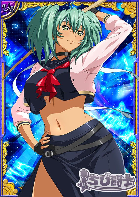 Ikkitousen Cards Coleccyion  Ryofu Housen set 592