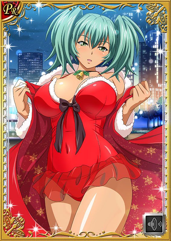 Ikkitousen Cards Coleccyion  Ryofu Housen set 596