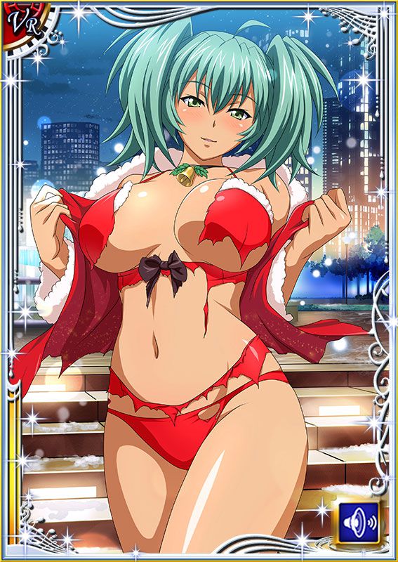 Ikkitousen Cards Coleccyion  Ryofu Housen set 598