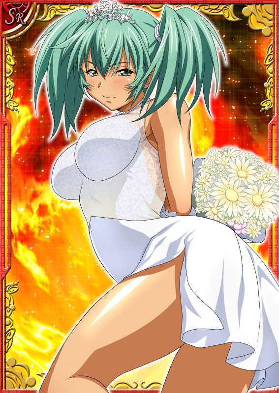 Ikkitousen Cards Coleccyion  Ryofu Housen set 6