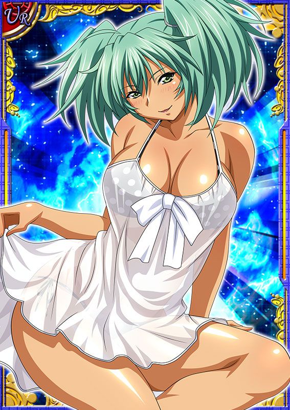 Ikkitousen Cards Coleccyion  Ryofu Housen set 60