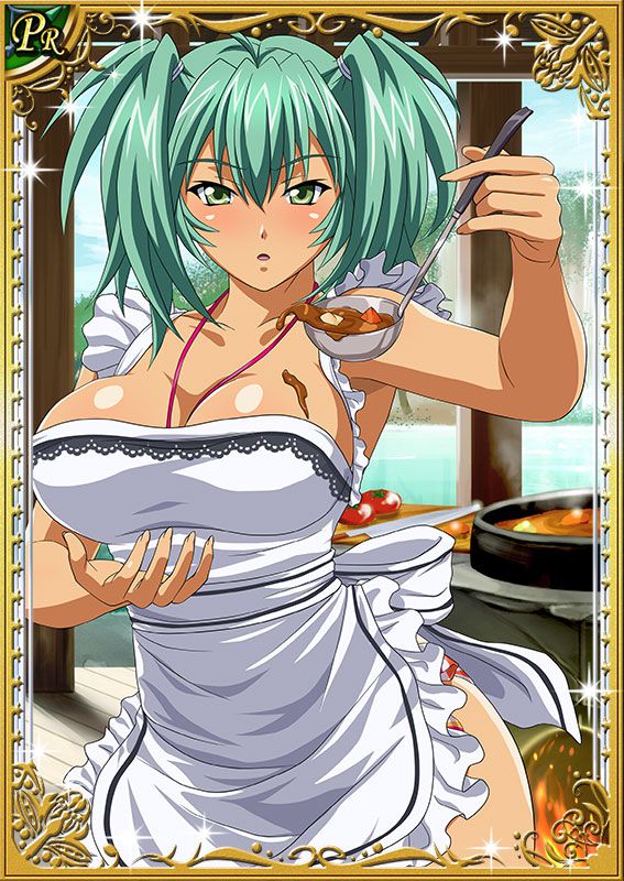 Ikkitousen Cards Coleccyion  Ryofu Housen set 61