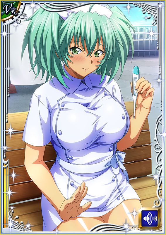 Ikkitousen Cards Coleccyion  Ryofu Housen set 611