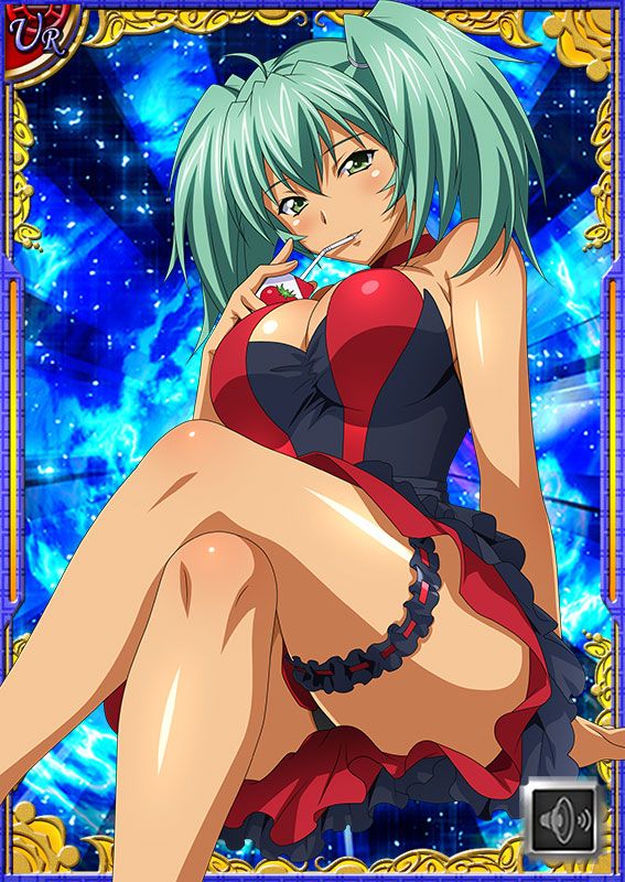 Ikkitousen Cards Coleccyion  Ryofu Housen set 615