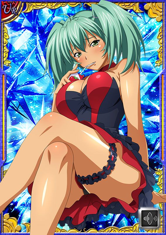 Ikkitousen Cards Coleccyion  Ryofu Housen set 616