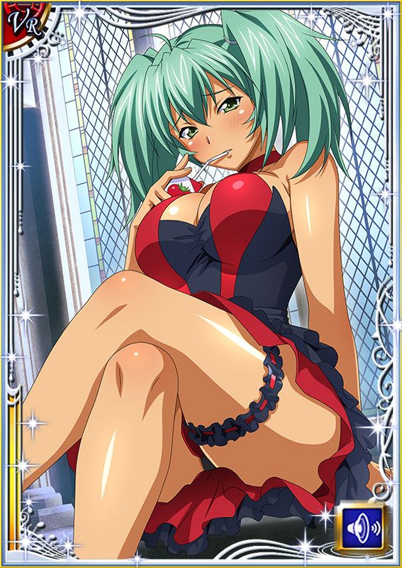 Ikkitousen Cards Coleccyion  Ryofu Housen set 617