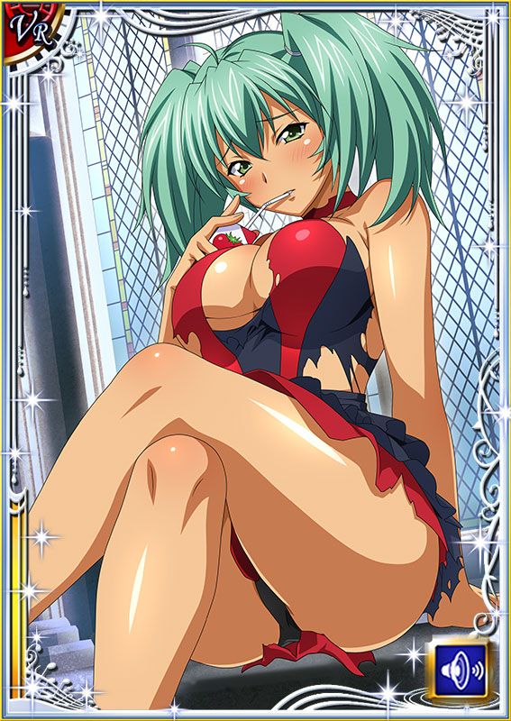 Ikkitousen Cards Coleccyion  Ryofu Housen set 618