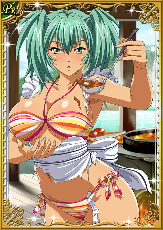 Ikkitousen Cards Coleccyion  Ryofu Housen set 62