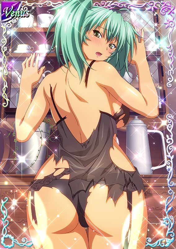 Ikkitousen Cards Coleccyion  Ryofu Housen set 624