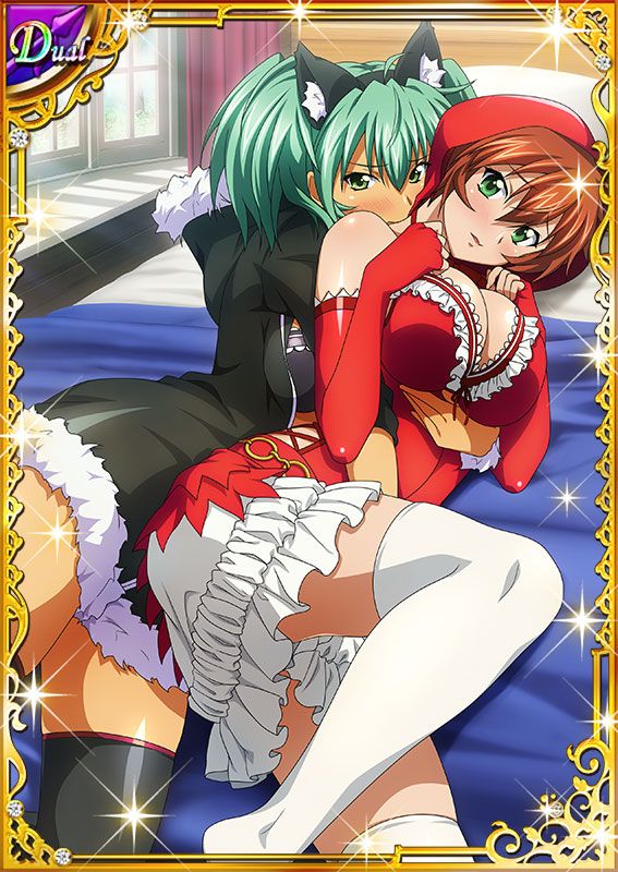 Ikkitousen Cards Coleccyion  Ryofu Housen set 627