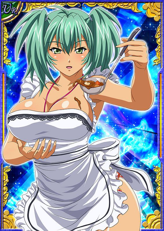 Ikkitousen Cards Coleccyion  Ryofu Housen set 63