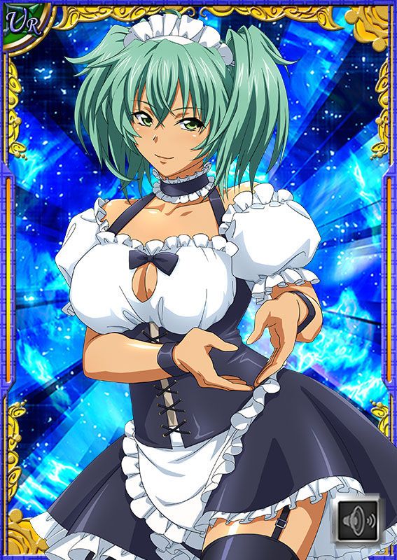 Ikkitousen Cards Coleccyion  Ryofu Housen set 631