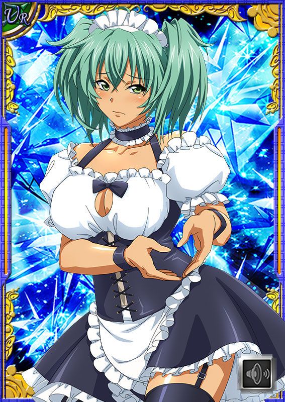 Ikkitousen Cards Coleccyion  Ryofu Housen set 632