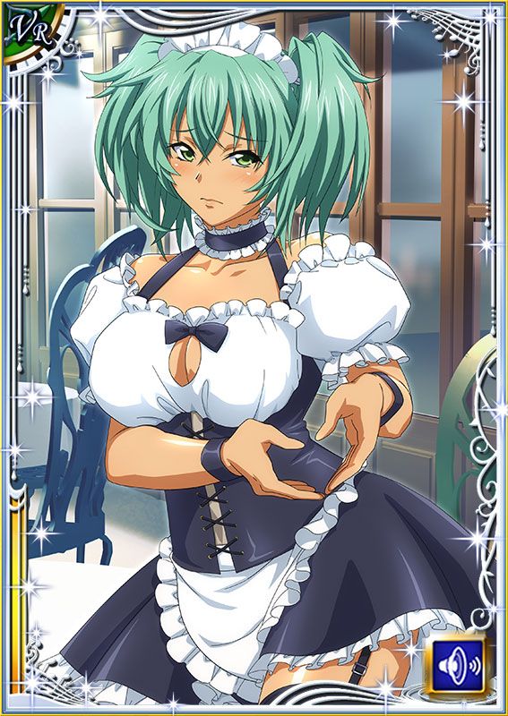 Ikkitousen Cards Coleccyion  Ryofu Housen set 633