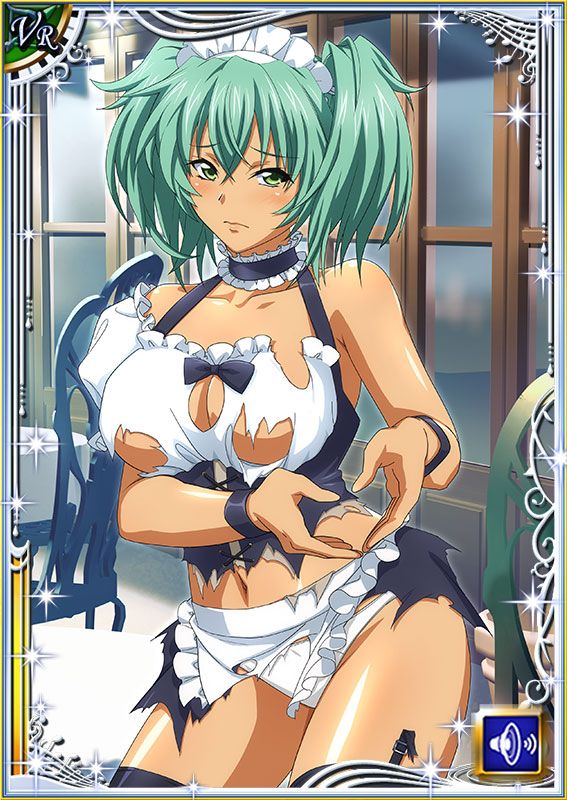 Ikkitousen Cards Coleccyion  Ryofu Housen set 634